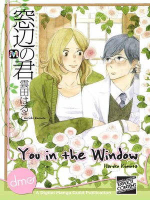 cover image of You in the Window